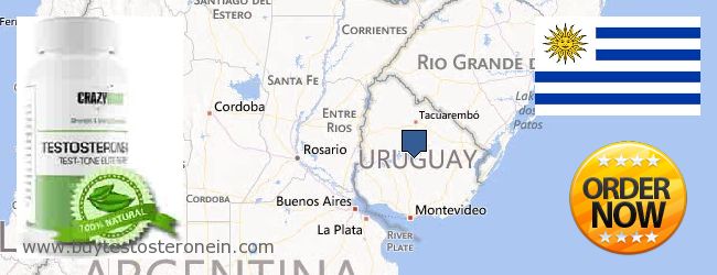 Gdzie kupić Testosterone w Internecie Uruguay